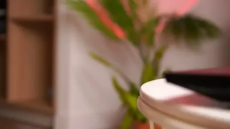 DreamSofia stripchat stream image