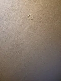 Roddog18 stripchat stream image, 10.01.2026 04:30