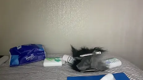 iambennet stripchat stream image