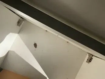 trash4cash stripchat stream image