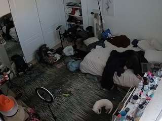 voyeurcam-hornyhostel-02 camsoda stream image, 01.02.2026 19:30