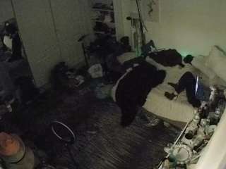 voyeurcam-hornyhostel-02 camsoda stream image, 01.02.2026 19:30