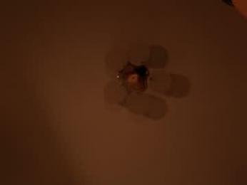 miafleur chaturbate stream image, 16.02.2026 22:10