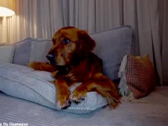 x_lily_x chaturbate stream image, 19.02.2026 00:00