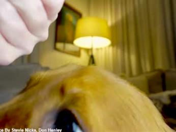 x_lily_x chaturbate stream image, 19.02.2026 00:00