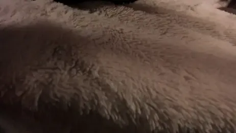 Sindy_Juxx stripchat stream image