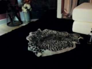 giannalove camsoda stream image, 04.03.2026 05:30