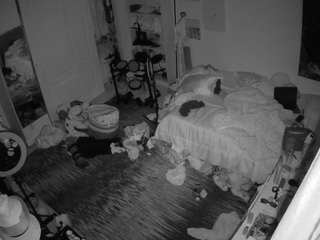 voyeurcam-hornyhostel-02 camsoda stream image, 14.03.2026 00:20