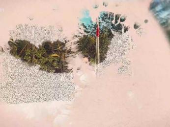 Taanni bongacams stream image