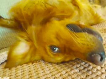 x_lily_x chaturbate stream image, 19.03.2026 19:30