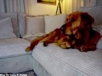 x_lily_x chaturbate stream image, 31.03.2026 22:10