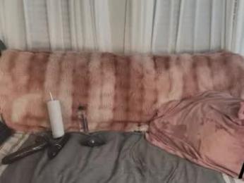 ava_west chaturbate stream image, 04.04.2026 12:20