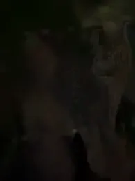 Rae_Lil_White stripchat stream image