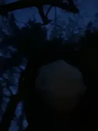 min9811 stripchat stream image, 22.04.2026 10:40