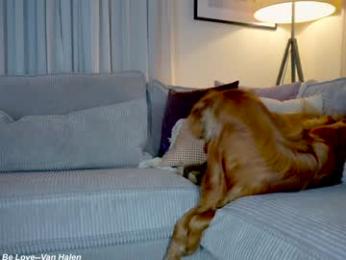 x_lily_x chaturbate stream image, 06.04.2025 21:20