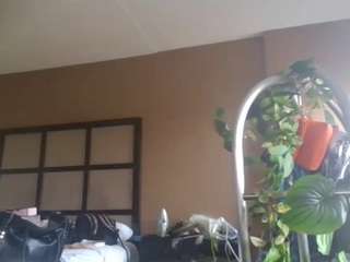 stalliontheesavage camsoda stream image