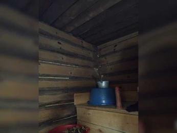 MsHsFuck bongacams stream image