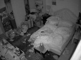 voyeurcam-hornyhostel-02 camsoda stream image, 28.04.2025 07:30